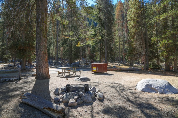 wooded campsite with table and grill over a fire pit in lodgepole