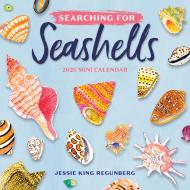 Searching for Seashells Mini Wall Calendar 2026